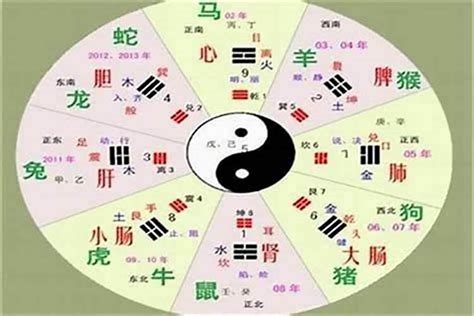 秐五行|沣字的五行属性